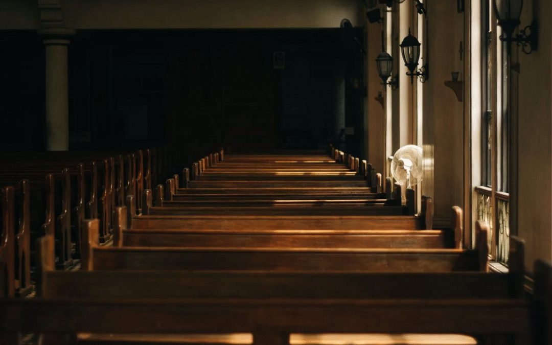Catholic Church Initiatives 2025: How Synodality, Ecology Rise Today